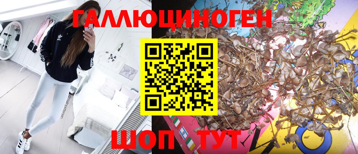 Псилоцибиновые грибы мицелий  Вход с VPN  Коряжма  Псилоцибиновые грибы мицелий 