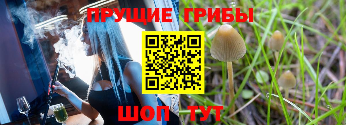 Меф кристаллы  ГАШИШ  Cocaine  Каннабис  A PVP СОЛЬ   Коряжма  Гашиш  Вход с VPN  NBOMe 