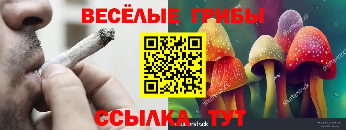 Псилоцибиновые грибы MAGIC MUSHROOMS Коряжма